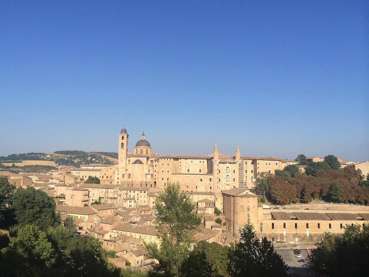 Urbino